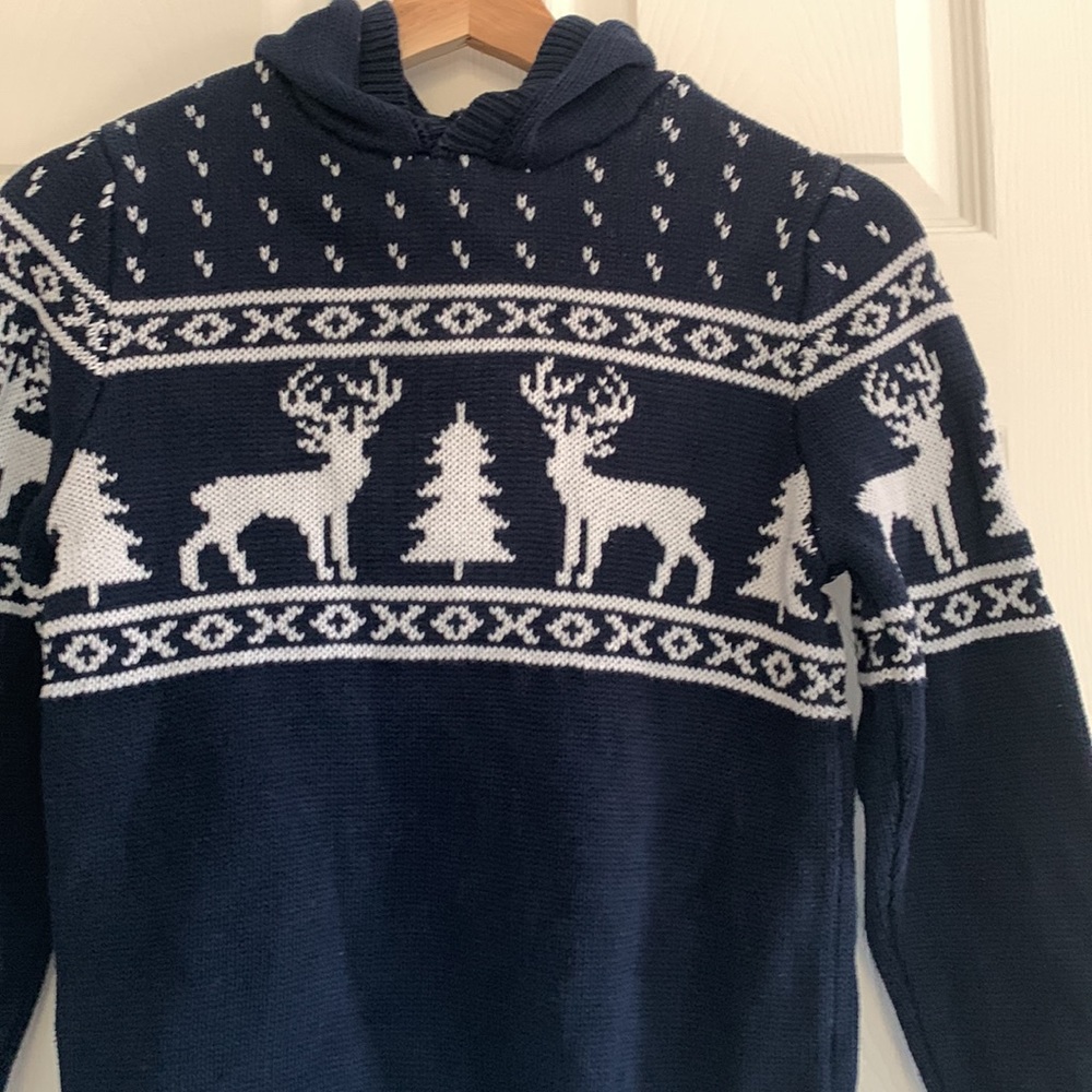 Reindeer Blue and White Knit Hooded Sweater - Picture 8 of 8